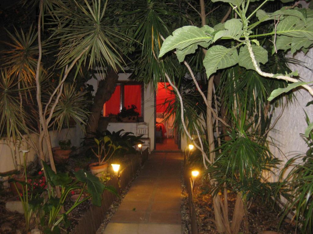 Hostal Las Acacias マラガ エクステリア 写真